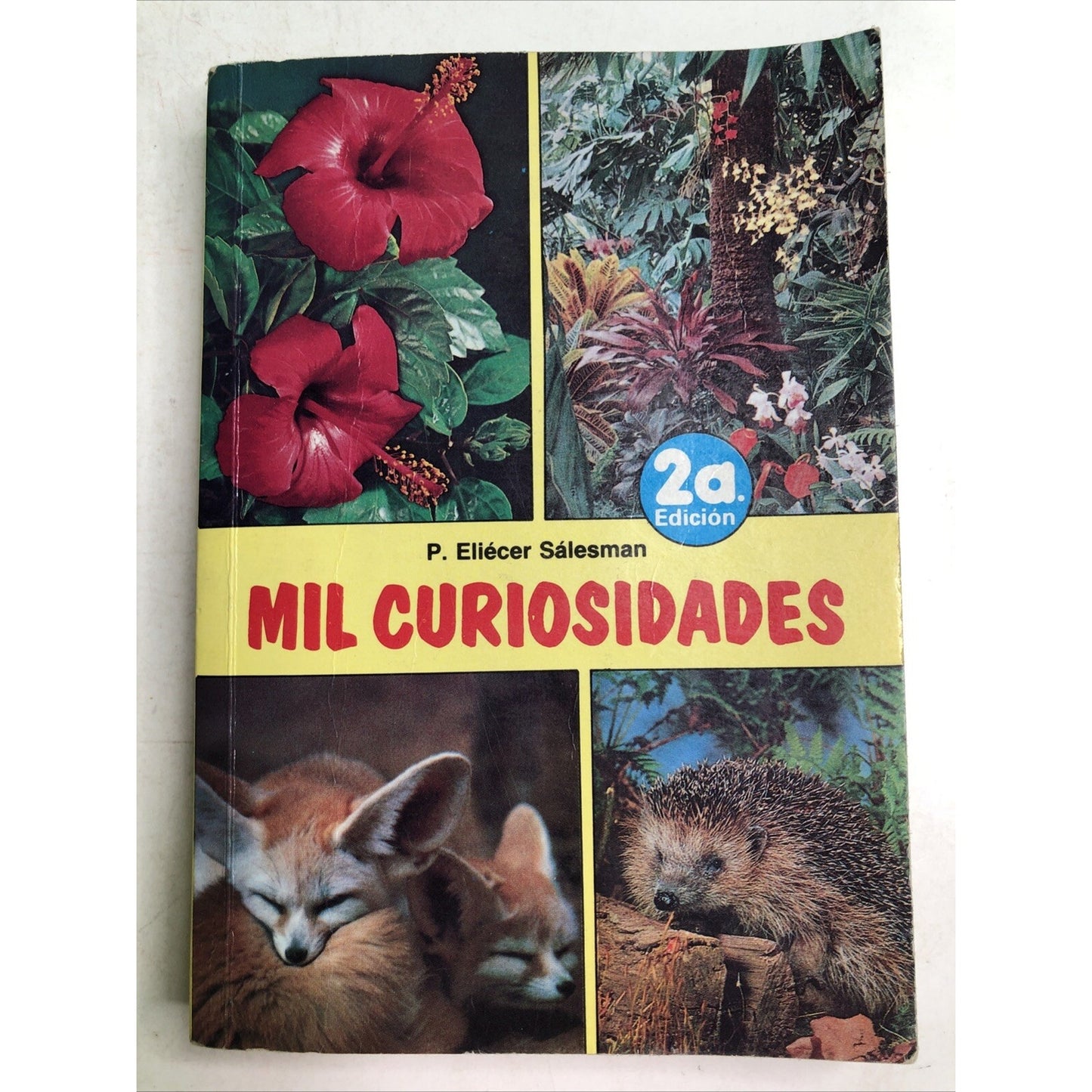 MIL CURIOSIDADES by P. ELIECER SALESMAN PB 24th EDITION IN SPANISH ESPANOL
