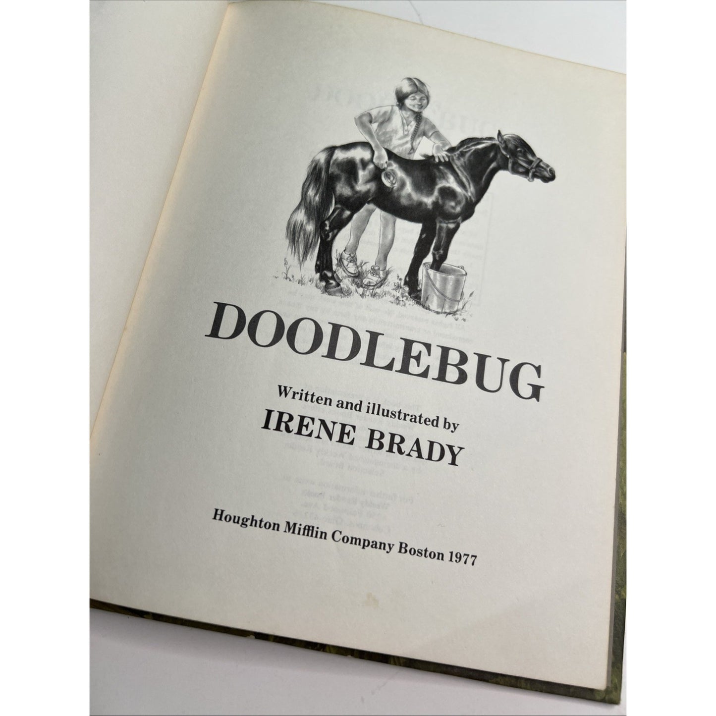 Doodlebug By Irene Brady Hardcover Weekly Reader Books 1977 Horse Illustrated