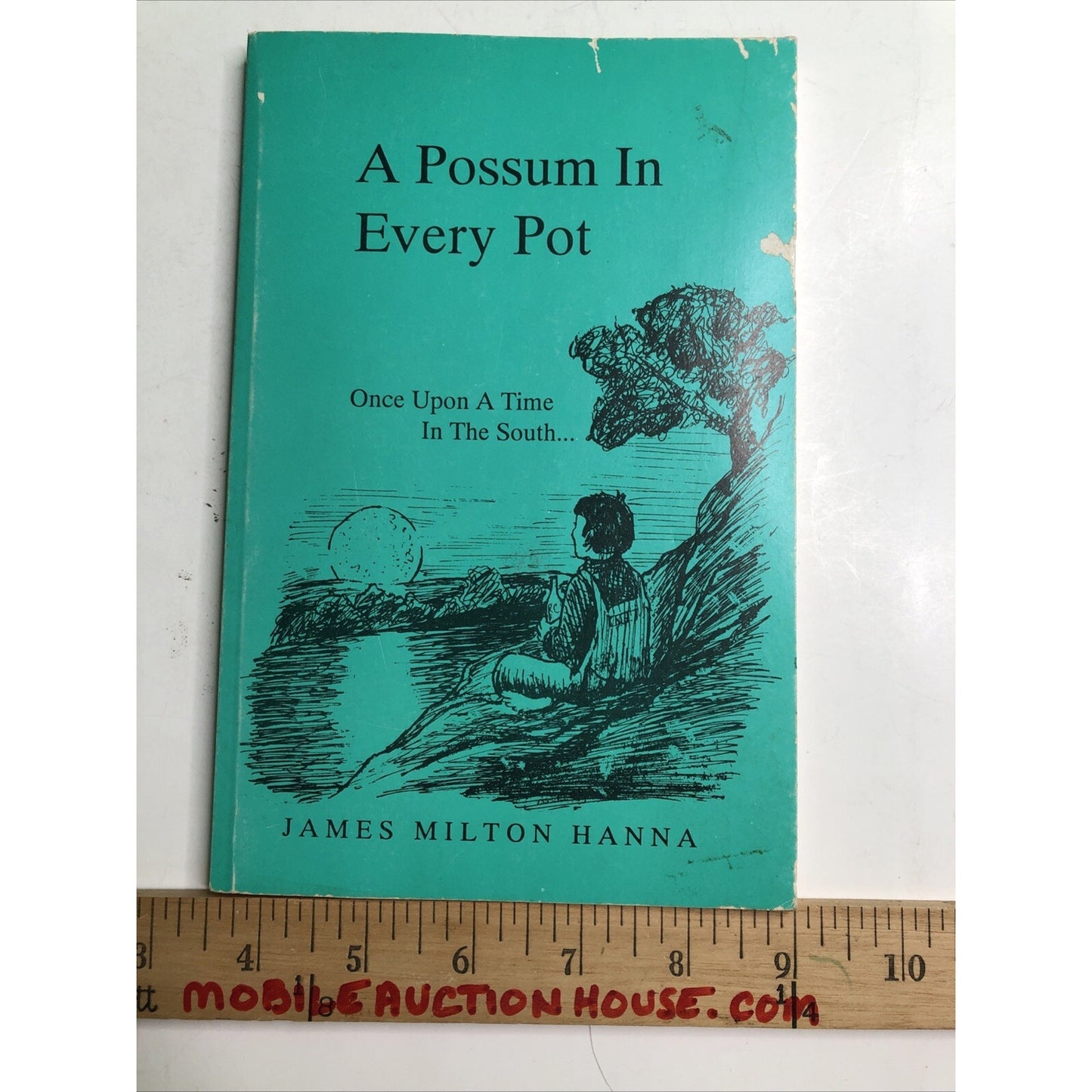 A Possum In Every Pot : Once Upon A Time In The South by James Milton Hanna PB