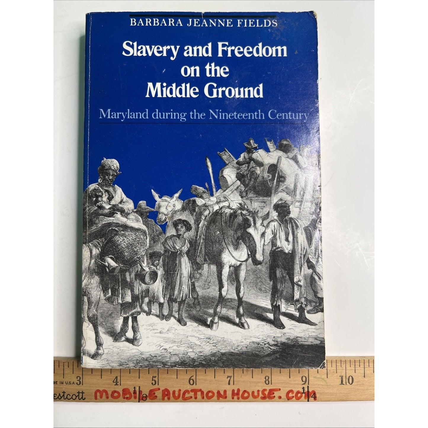 Slavery and Freedom on the Middle Ground : Maryland Barbara Fields 1985 PB