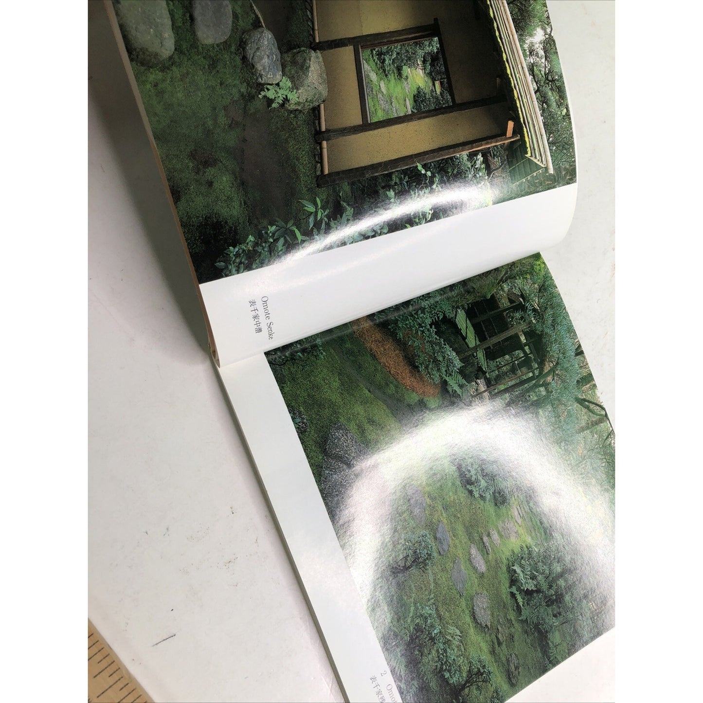 1996 First Edition The Tea Garden by Mizuno Katsuhiko TPB DJ