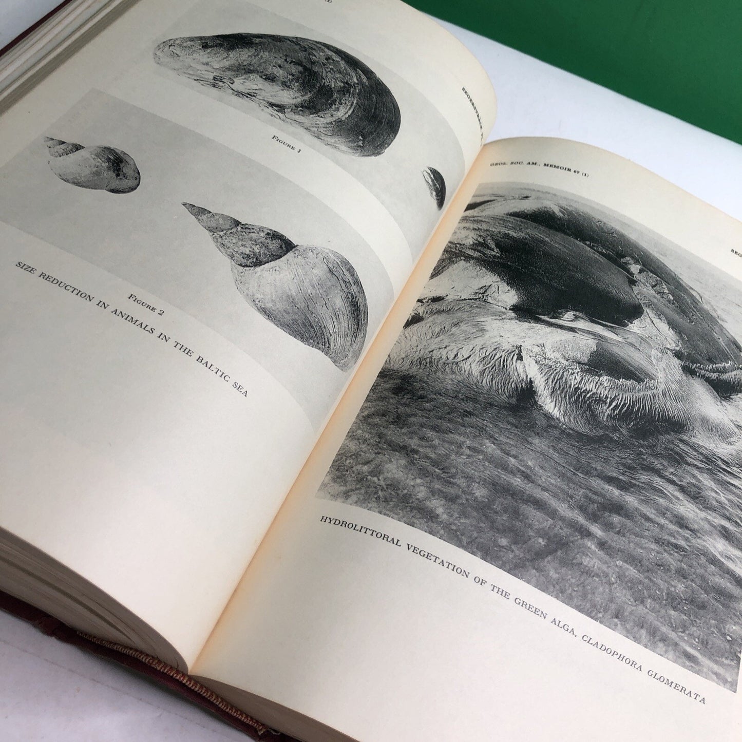 1957 Treatise Marine Ecology Paleoecology Vol. 1 Illus. Maps Geological Society
