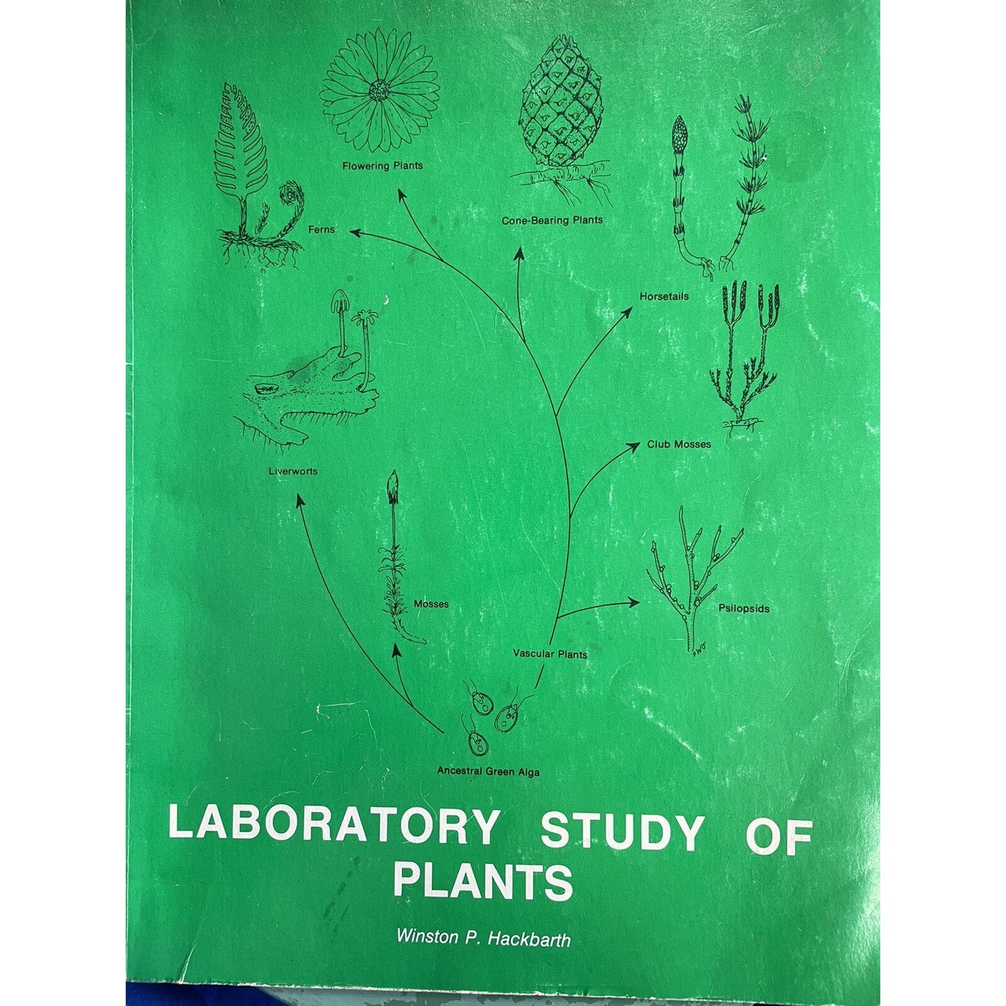 Laboratory Study Of Plants By Winston Hackbarth 1981 PB Illustrated