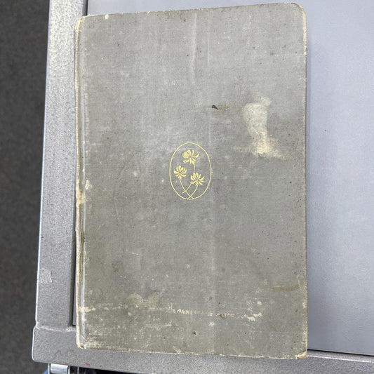 Poems of Sidney Lanier Hardcover Edited by His Wife New Edition 1894