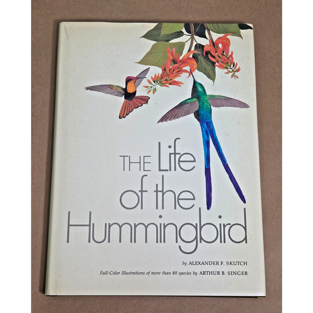 Vintage 1973 "The Life of the Hummingbird" - Alexander Skutch & Arthur Singer
