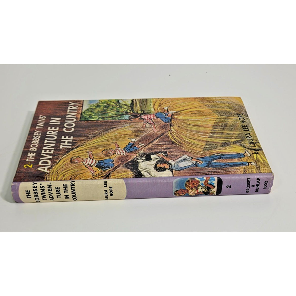 Vintage Bobbsey Twins Adventure in the Country 1980s Filmways Edition