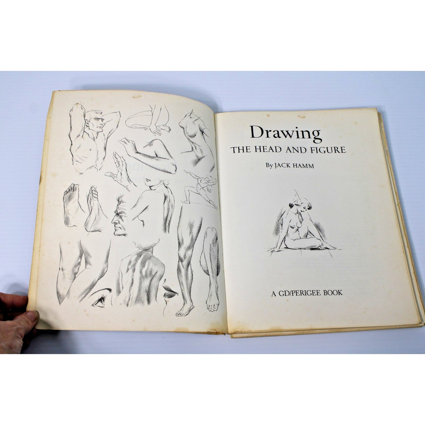 Drawing the Head & Figure: A How-To Handbook That Makes Drawing Easy- Jack Hamm