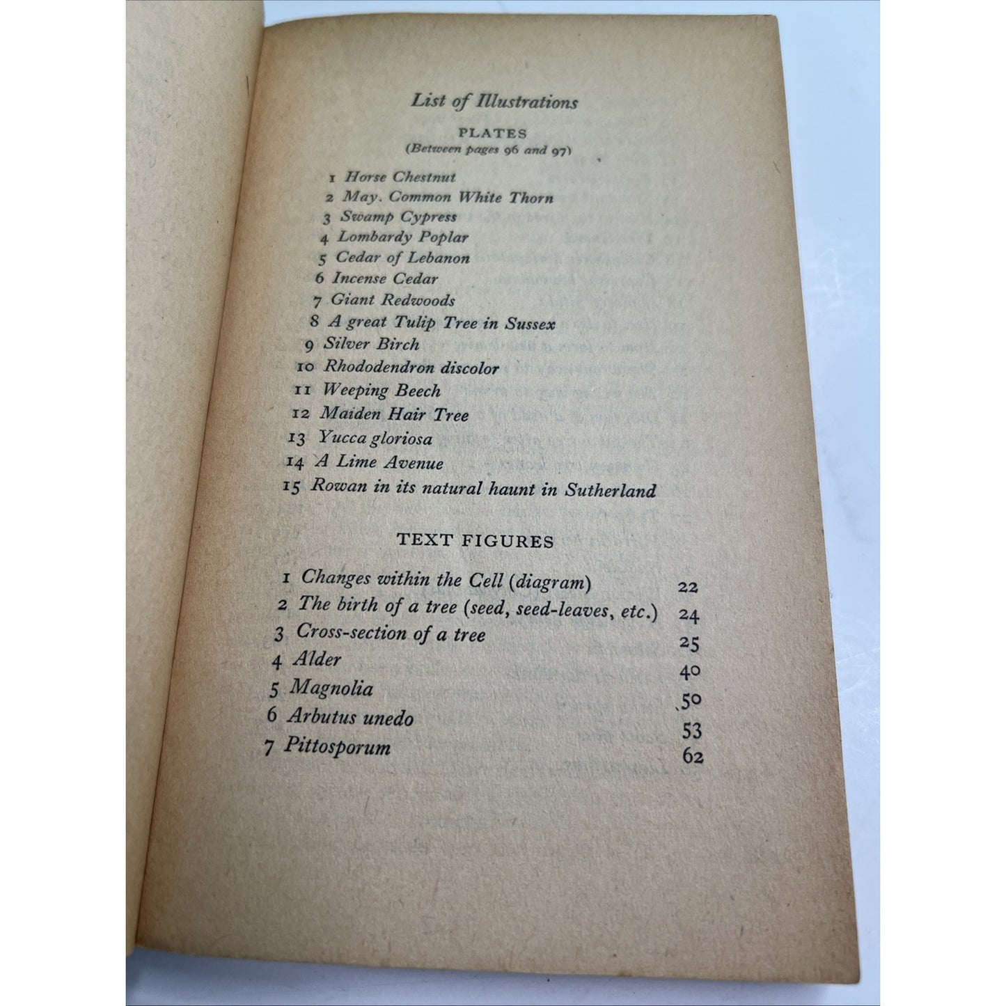 Trees and Shrubs 1951 PB by W. H. Rowe Illustrated