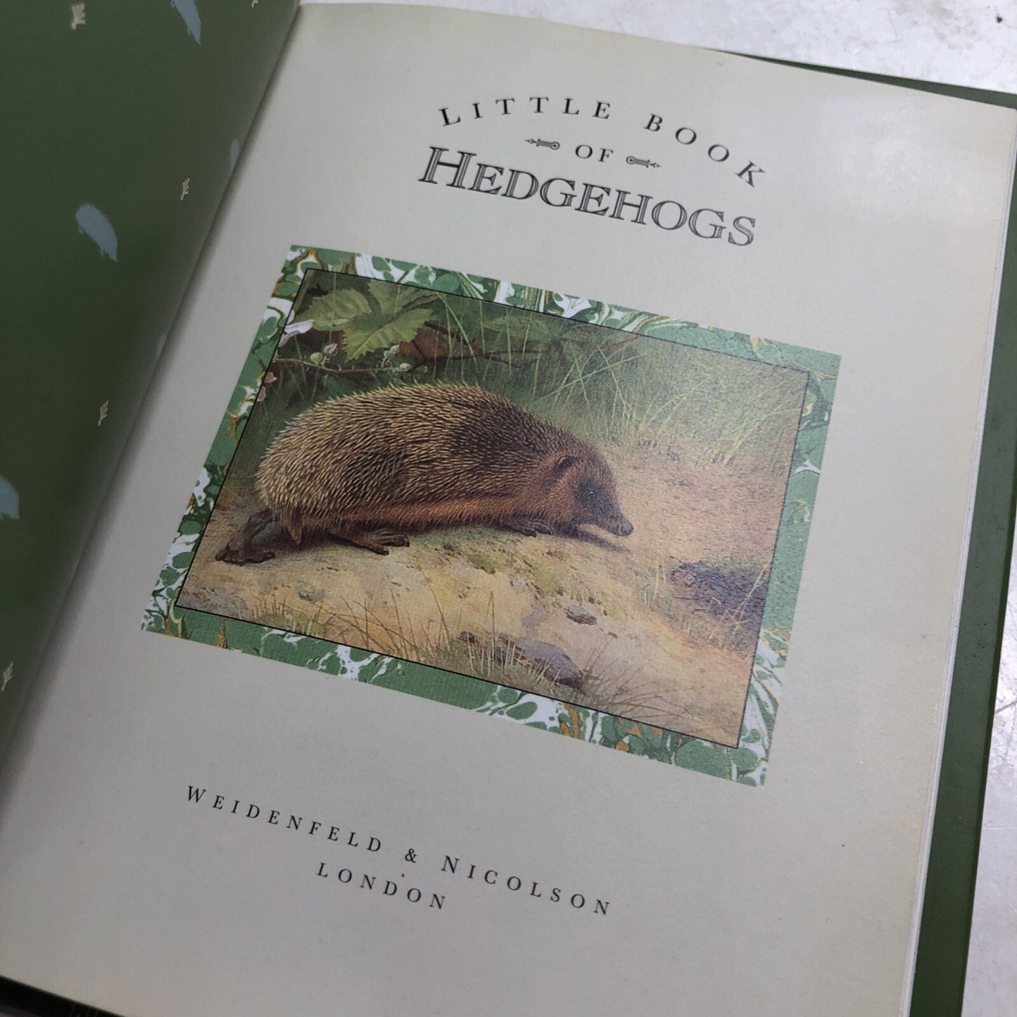 Little Book of Hedgehogs Hardcover Dust Jacket Various Authors Gift
