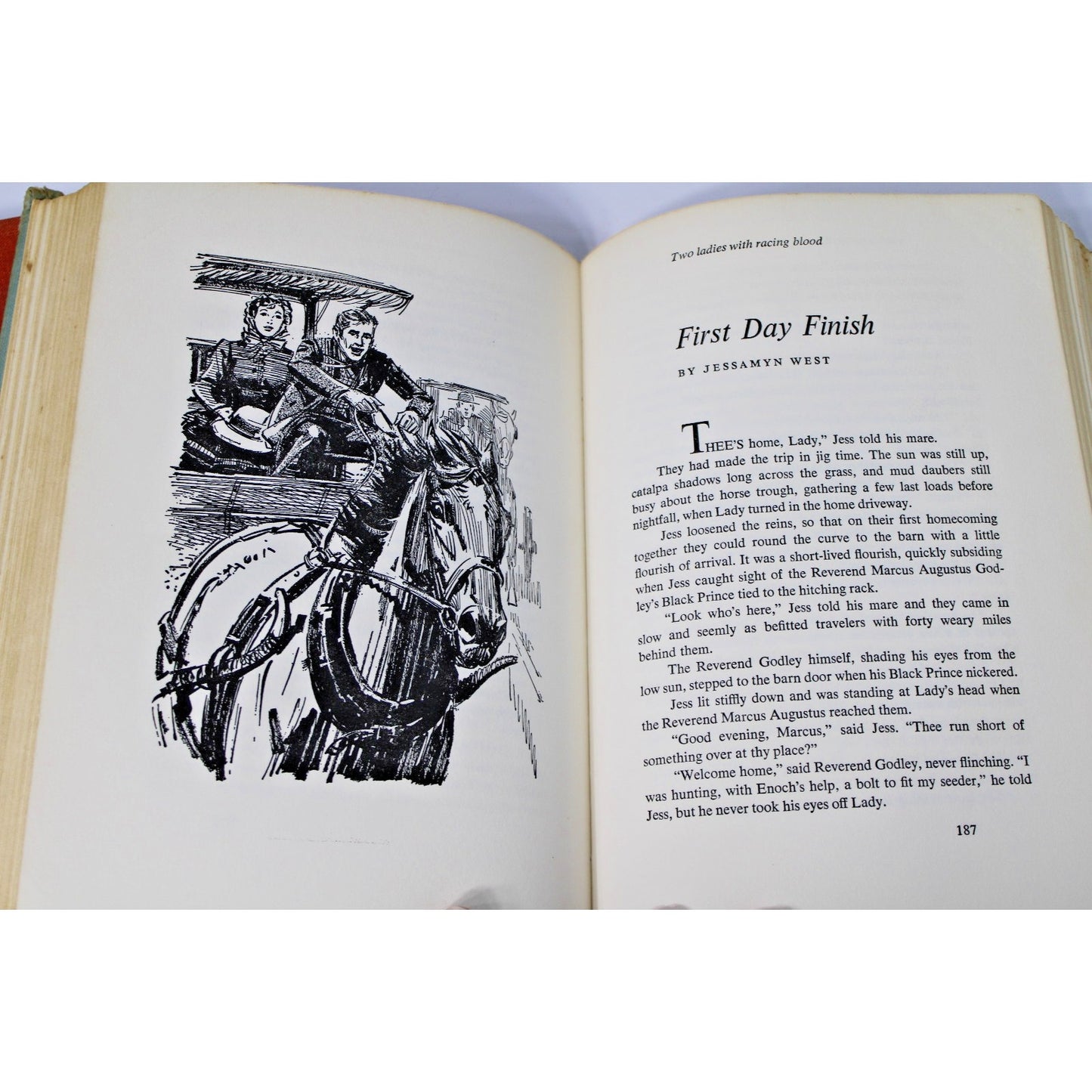 The Mustangs & The Big Book of Favorite Horse Stories, 2 Mid-Century Horse Books