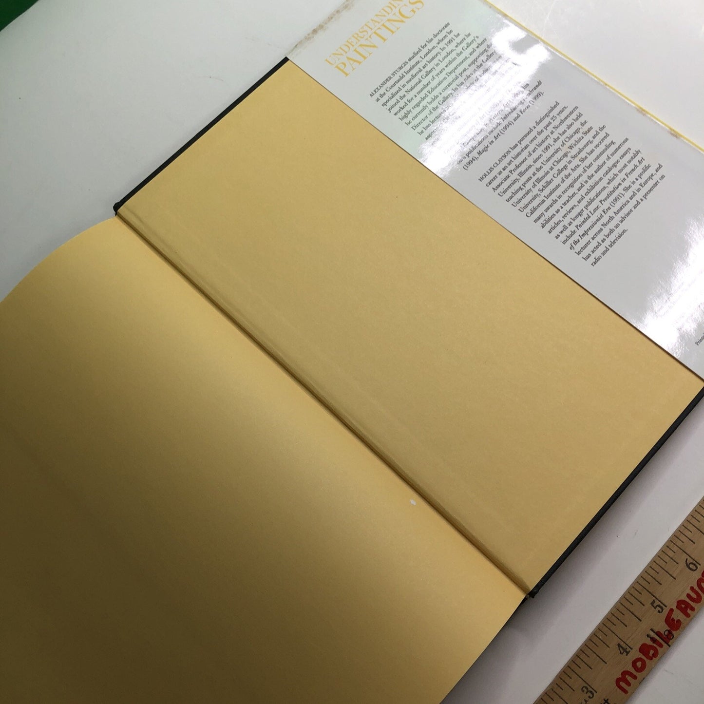 UNDERSTANDING PAINTINGS: THEMES IN ART EXPLORED EXPLAINED By Sturgis & Clayson