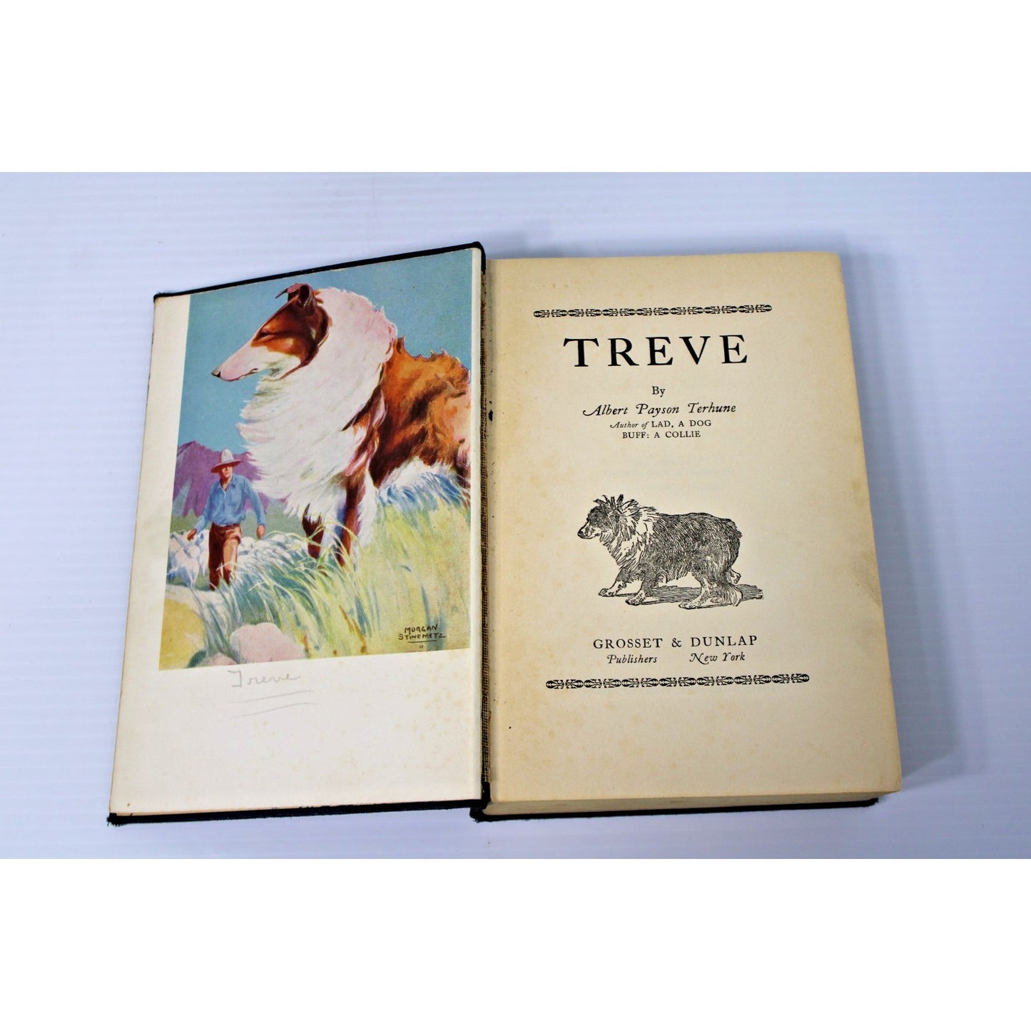 Treve- Albert Payson Terhune, 1924 1st edition HC, Tale of a Collie