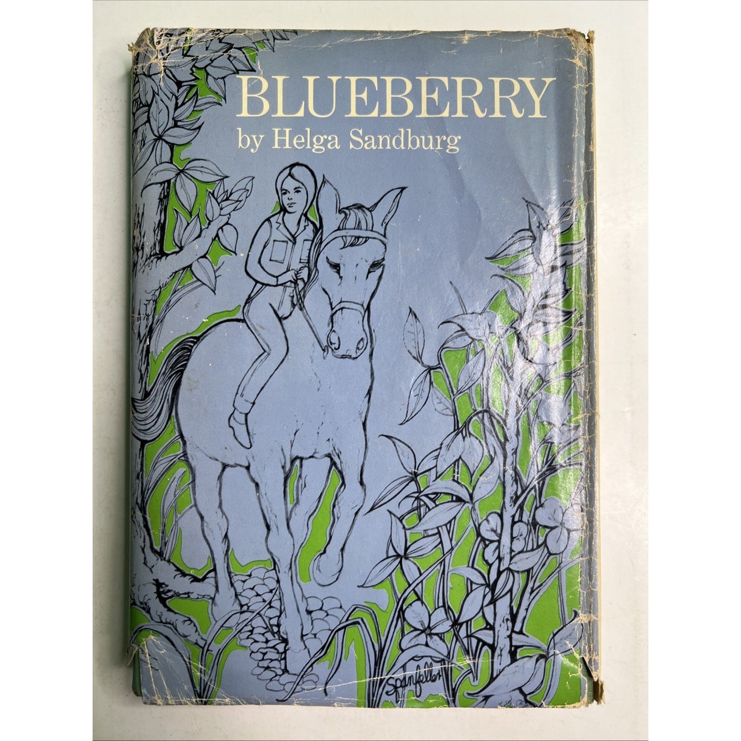 Blueberry by Helga Sandburg 1963 Hardcover With Dust Jacket