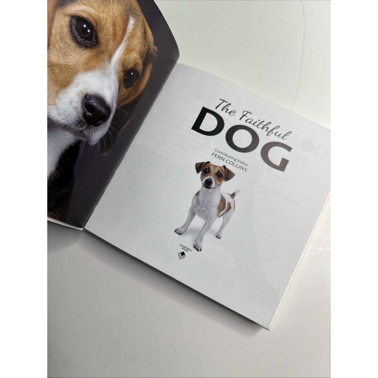 The Faithful Dog: Facts and Breed Information About Our Canine Friends 2016 PB
