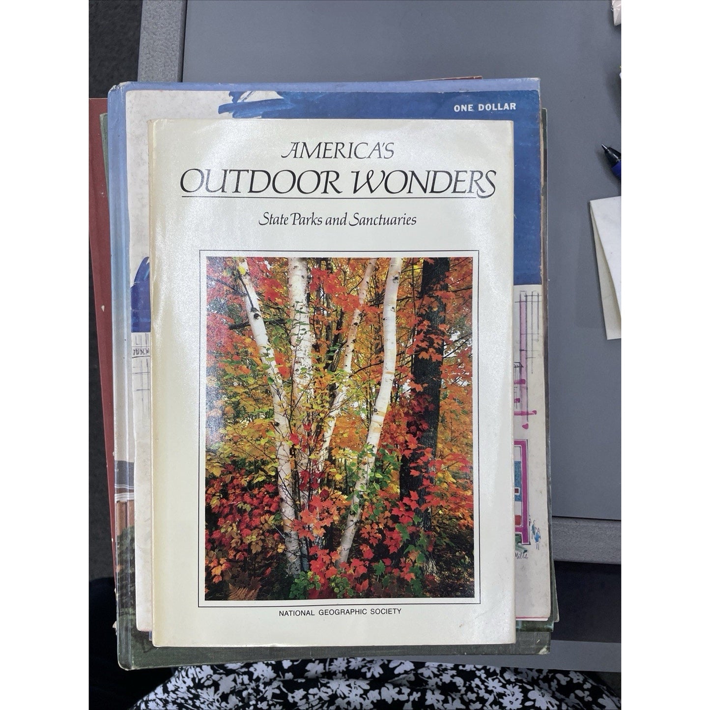 America's Outdoor Wonders State Parks Sanctuaries National Geographic HC DJ 1987