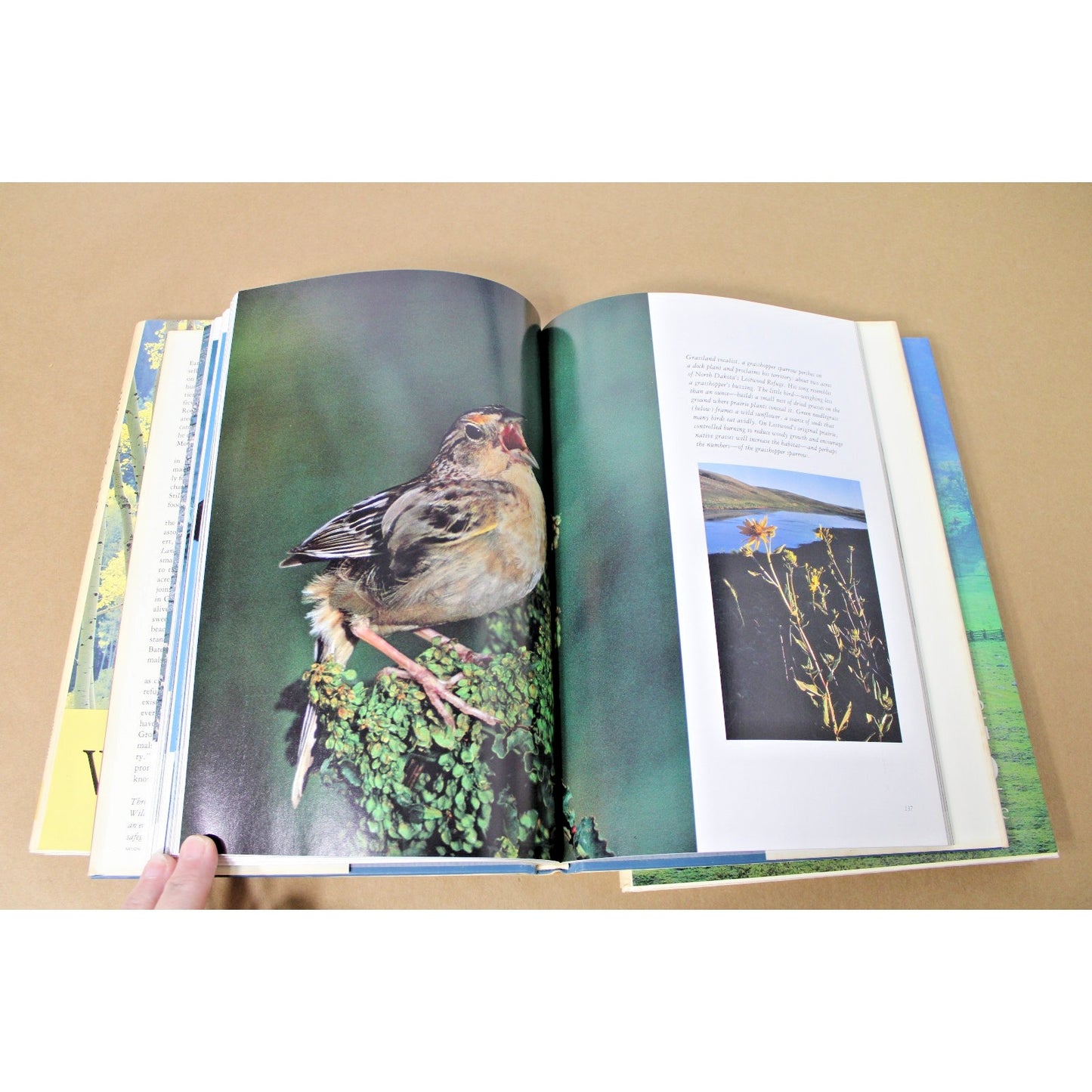 Lot of 3 National Geographic Books: America's Woodlands, Valleys, and Wetlands