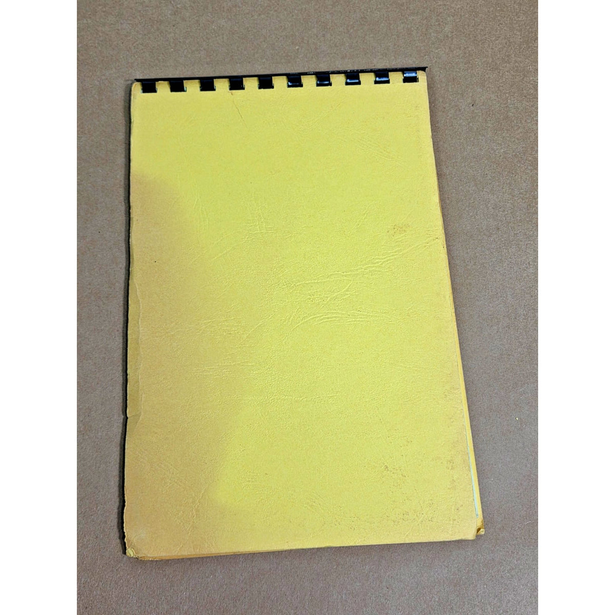 Vintage 1977 Tasting Bee Cookbook - Euless Texas Community Recipes - UMW