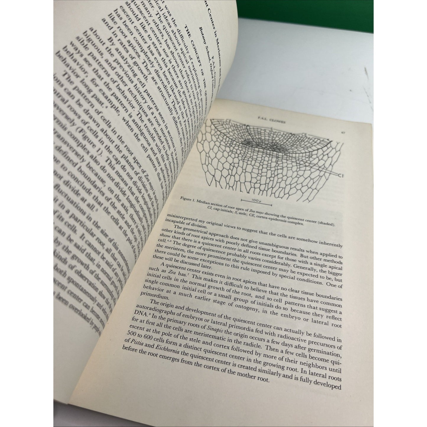 1963 Symposium In Biology Number 16 Meristems And Differentiation PB