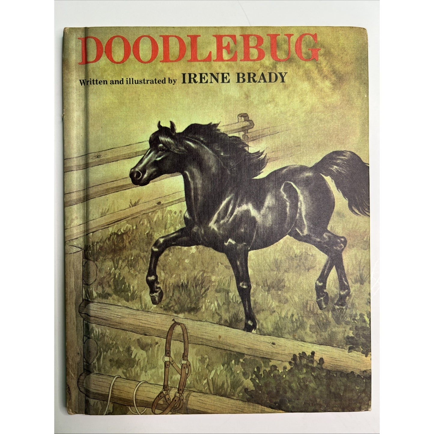 Doodlebug By Irene Brady Hardcover Weekly Reader Books 1977 Horse Illustrated