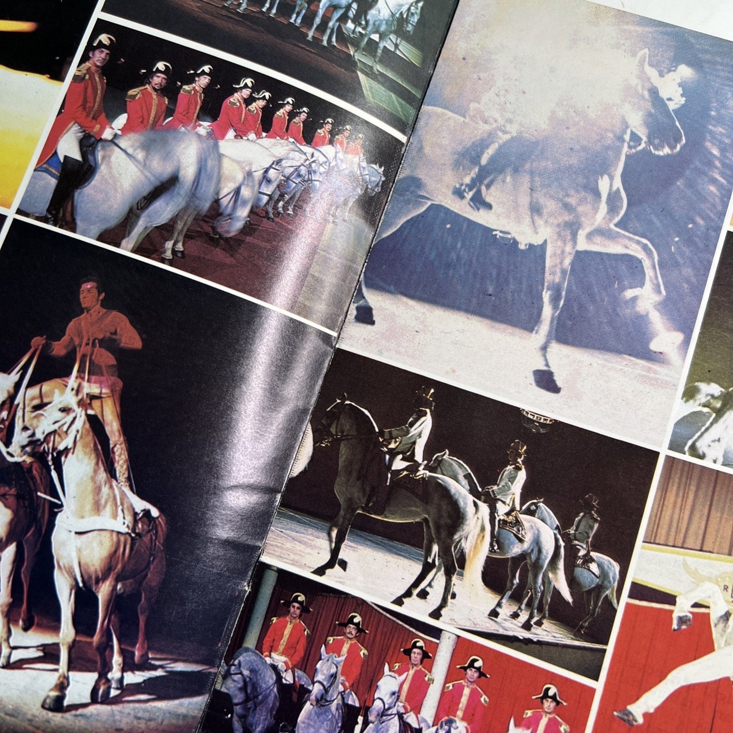 The Wonderful World of Horses Featuring The Royal Lipizzan Stallion Show Program