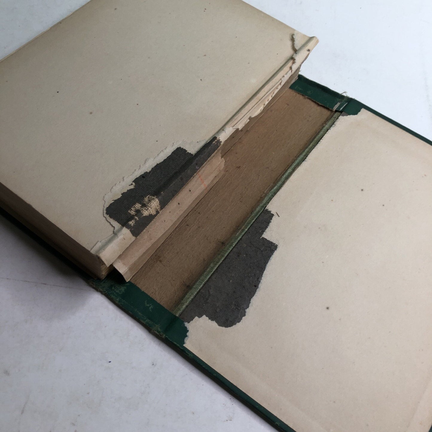Land of the Living by MAUDE RADFORD WARREN FIRST EDITION 1908 HC Damage