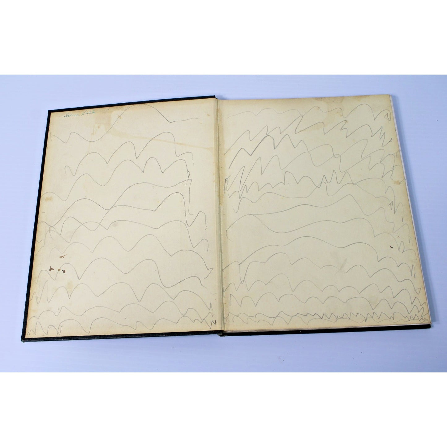 Vintage 1936 Garfield High School Benedictus Yearbook, Terre Haute, Indiana