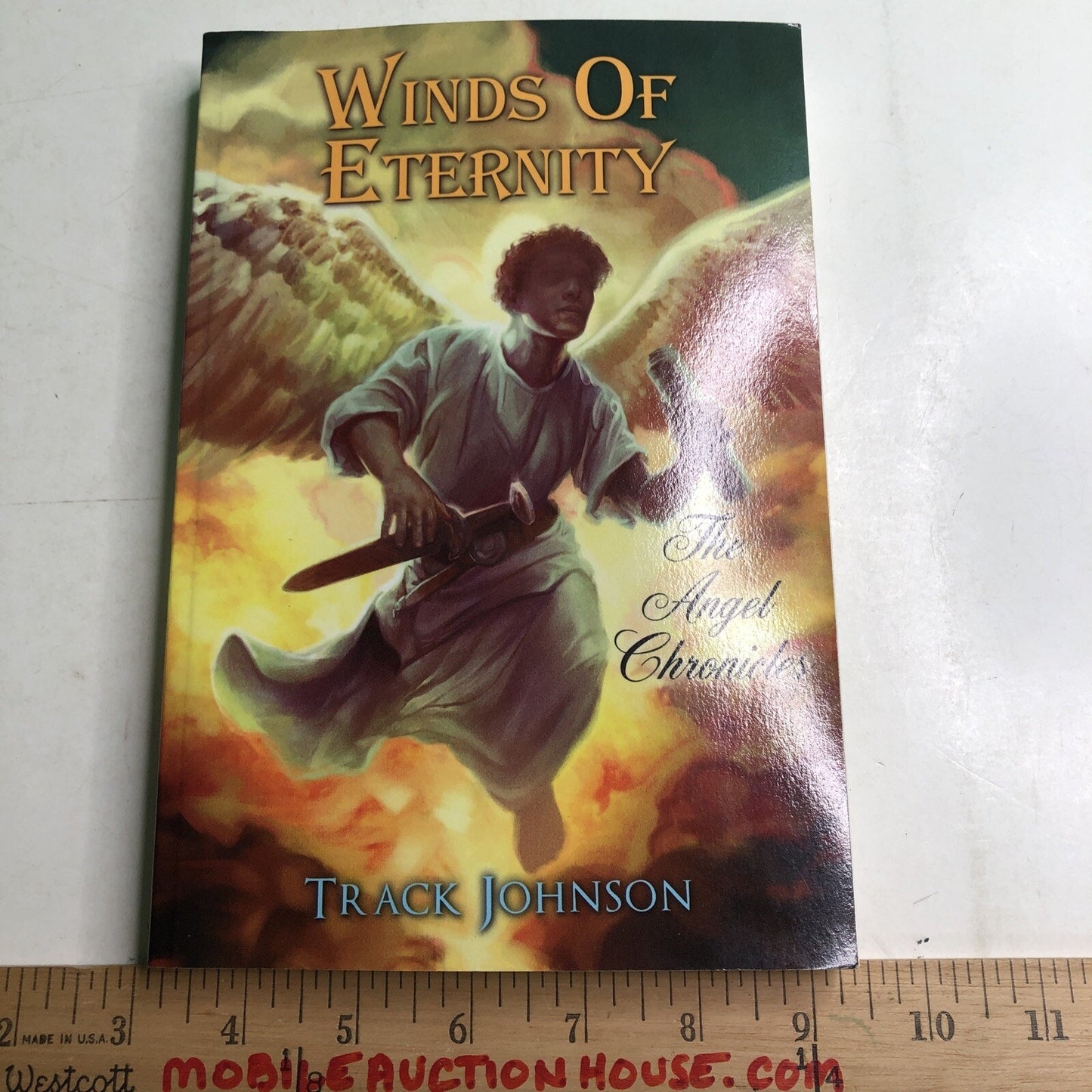Winds Of Eternity The Angel Chronicles by Track Johnson 2015 Paperback