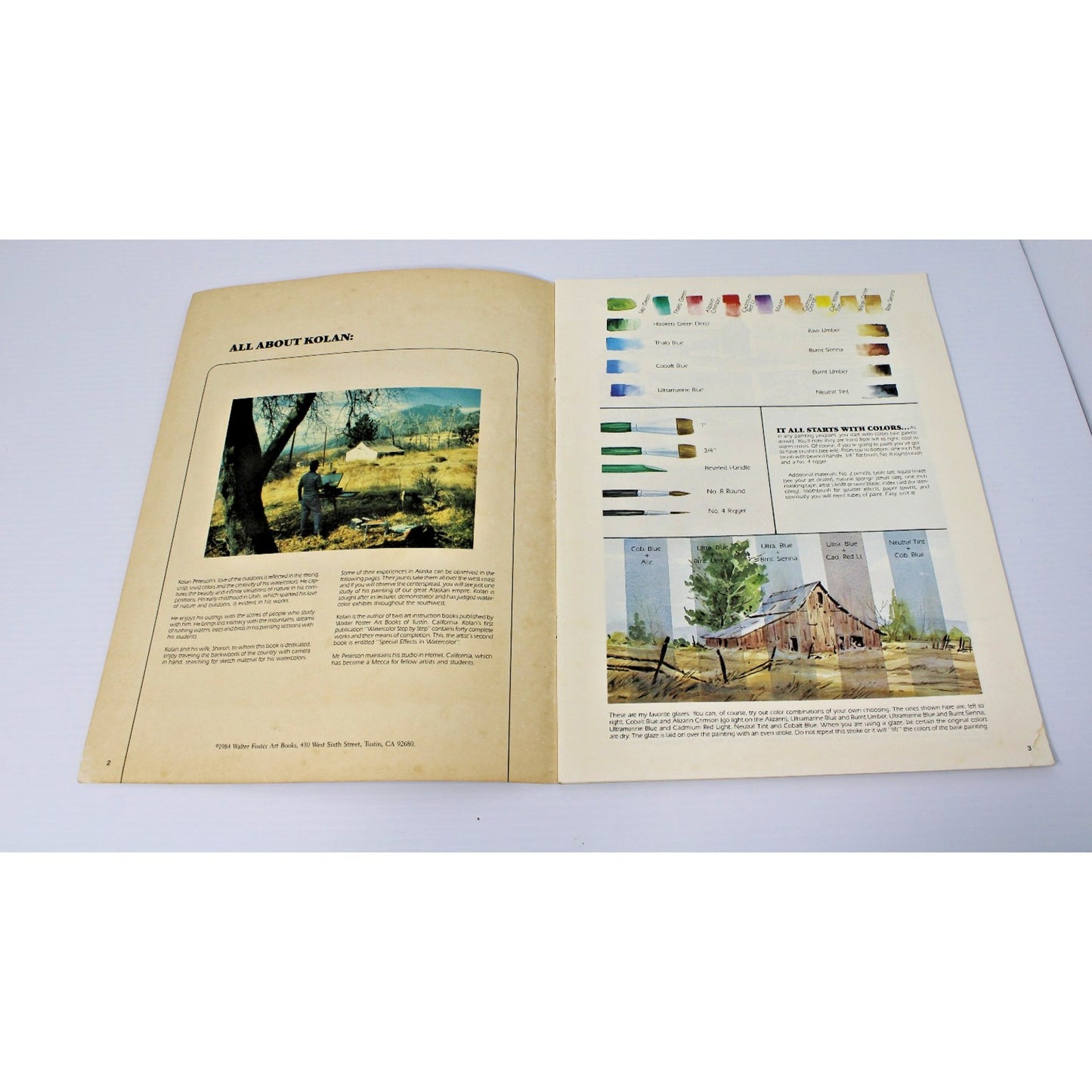 Special Effects In Watercolors- Kolan Peterson, Walter Foster #207 VTG Painting