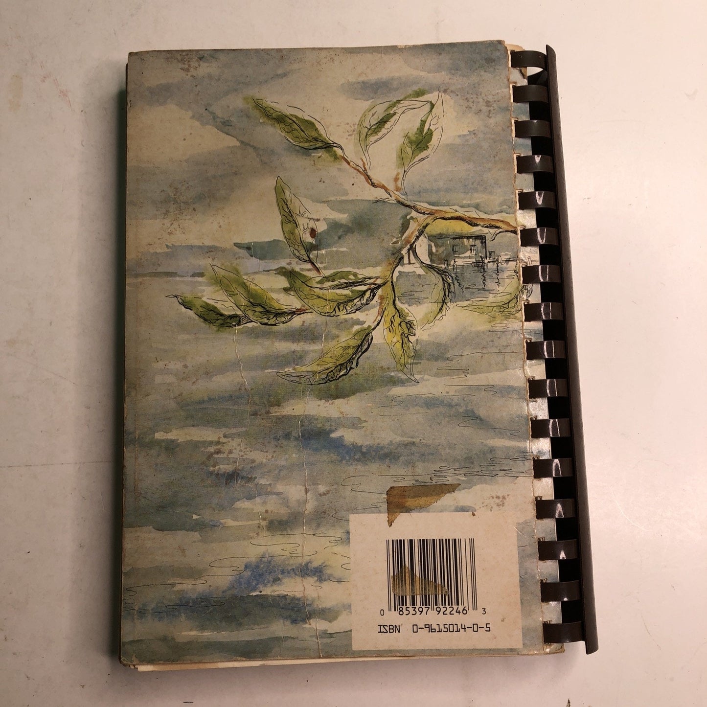 Bay Leaves Collection Recipes Panama City FL Florida Junior League Cookbook 1986