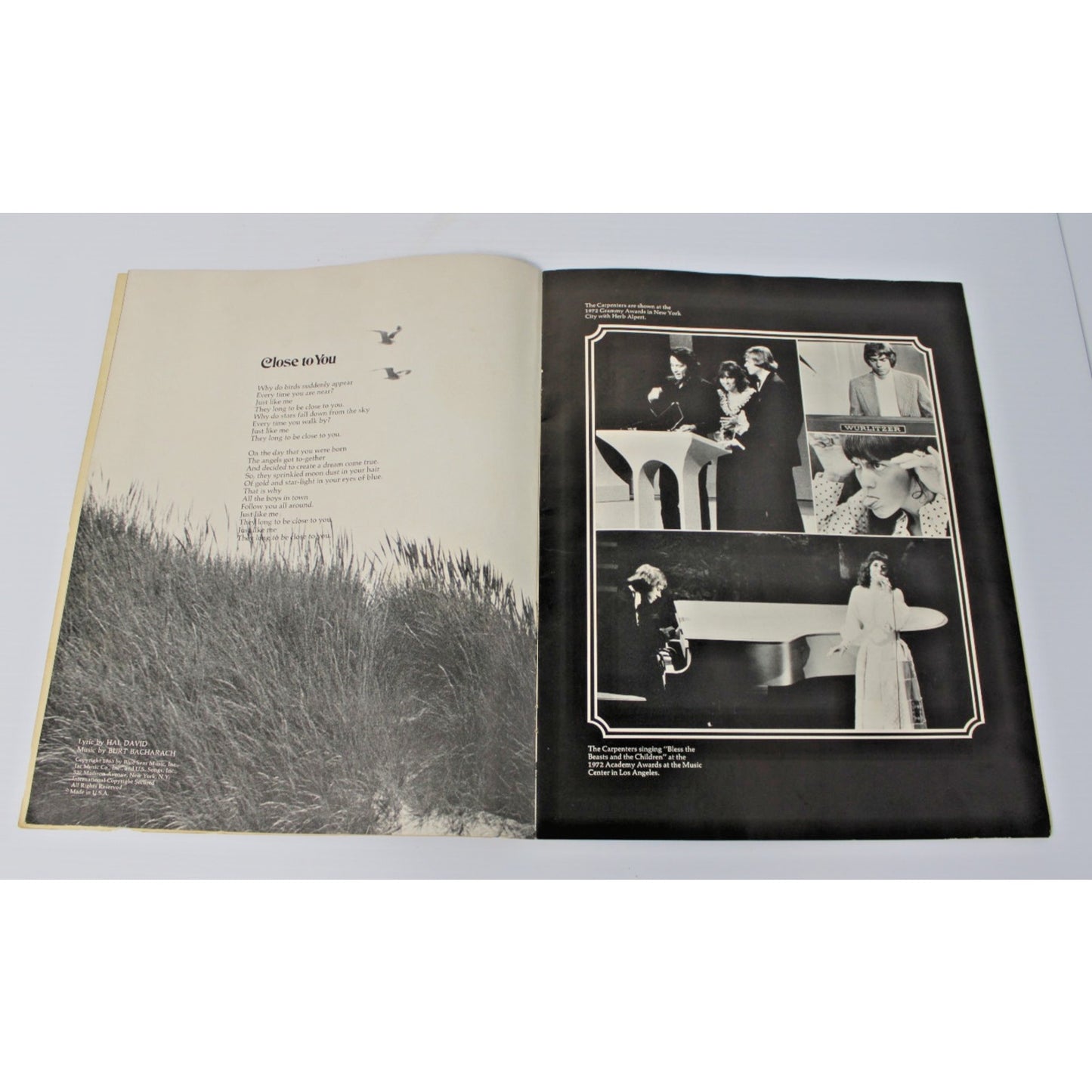 The Carpenters- 1973 Original Concert Program Now & Then Tour w/Fan Club Insert