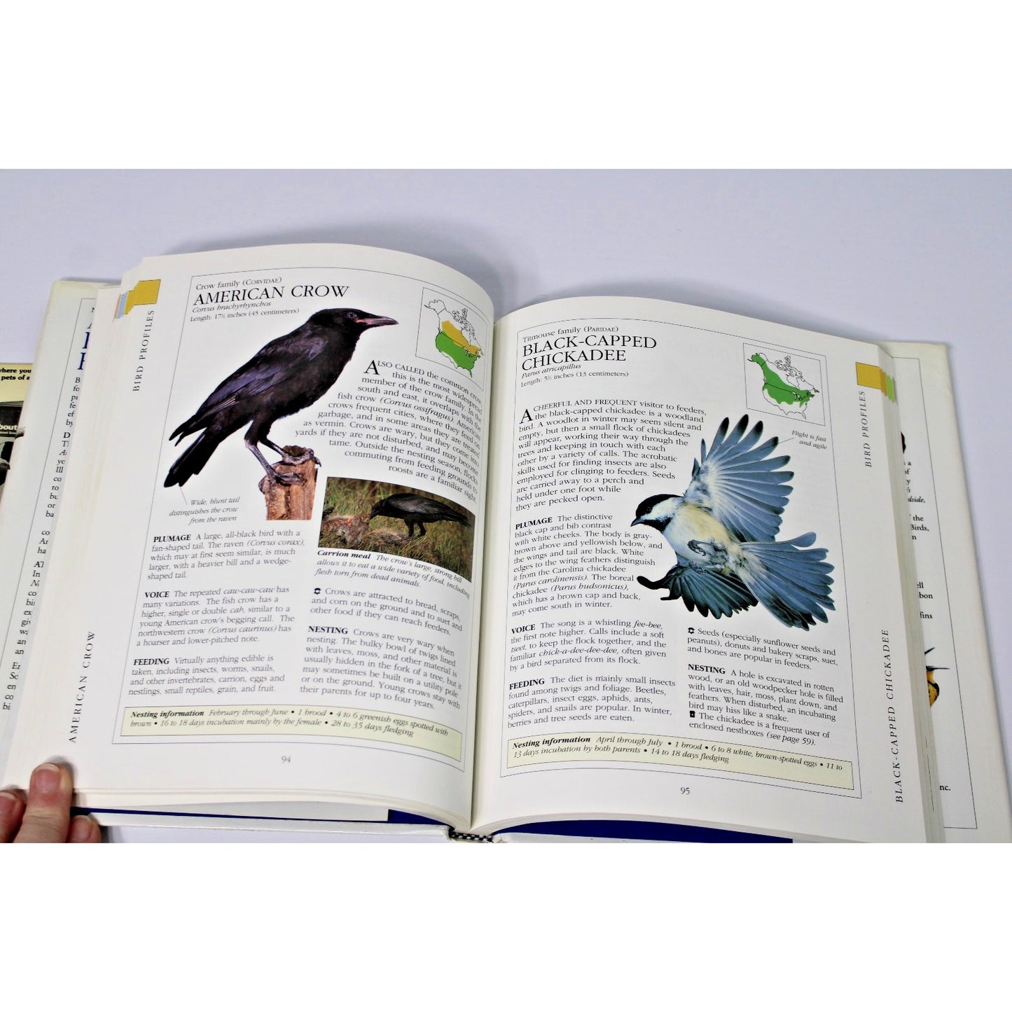 VTG Audobon Society: North American Birdfeeder Handbook and Finches...In Color!