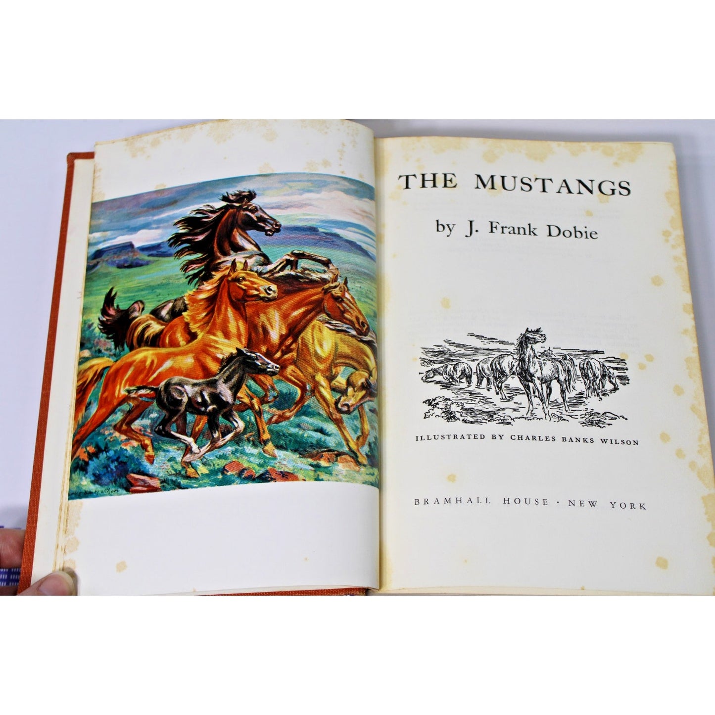 The Mustangs & The Big Book of Favorite Horse Stories, 2 Mid-Century Horse Books
