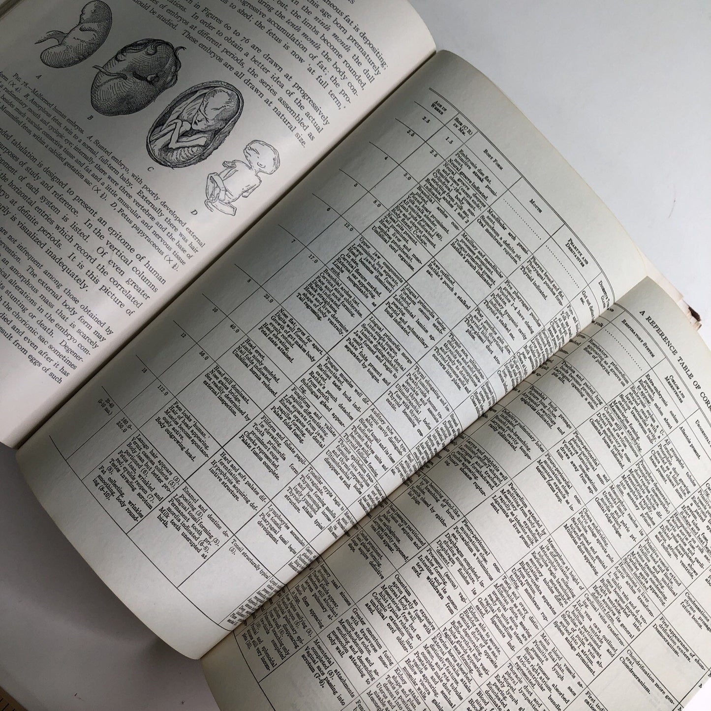 Developmental Anatomy by Leslie Brainerd Arey 5th Ed. 1950 Textbook Embryology
