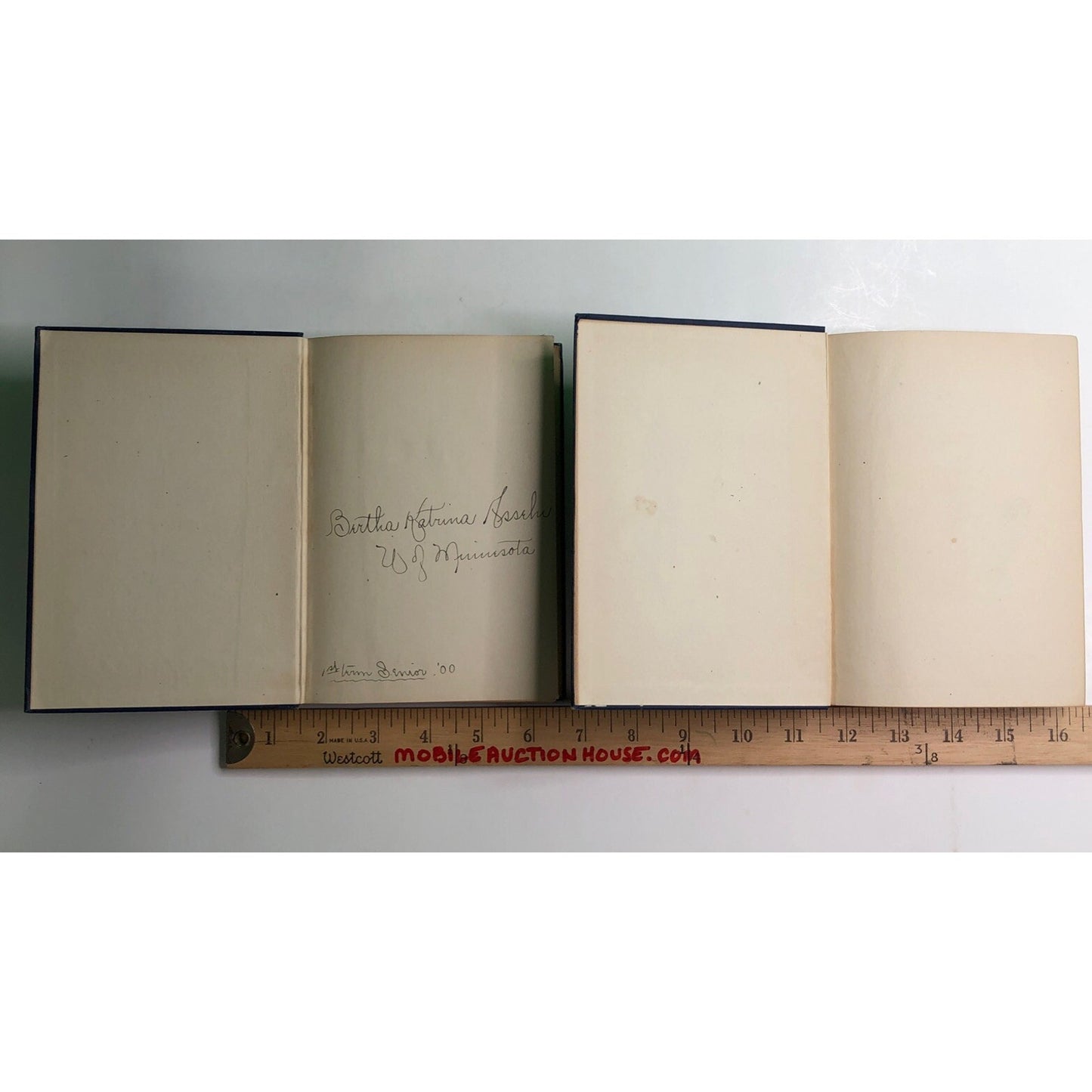 GOETHE'S FAUST PARTS I and II Edited By Calvin Thomas 1899 Hardcover