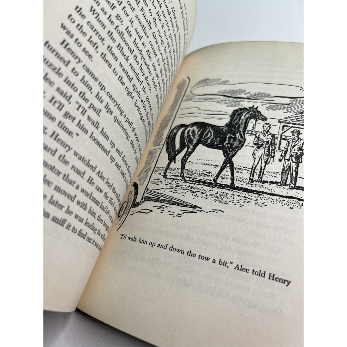 "The Black Stallion and Satan" by Walter Farley (1949) HC DJ 11th Printing