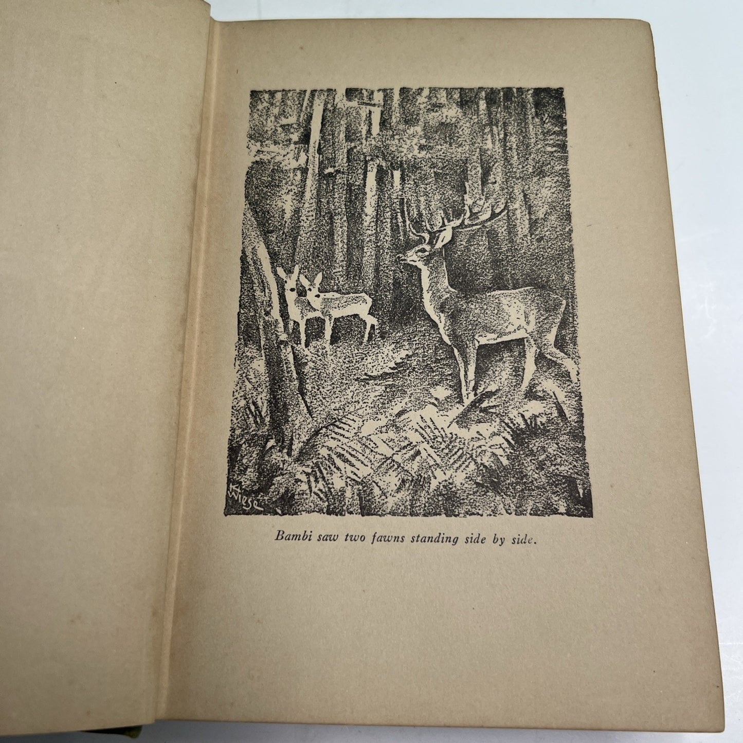 BAMBI A Life in the Woods by Felix Salten First 1st Edition 1929 First Print HC