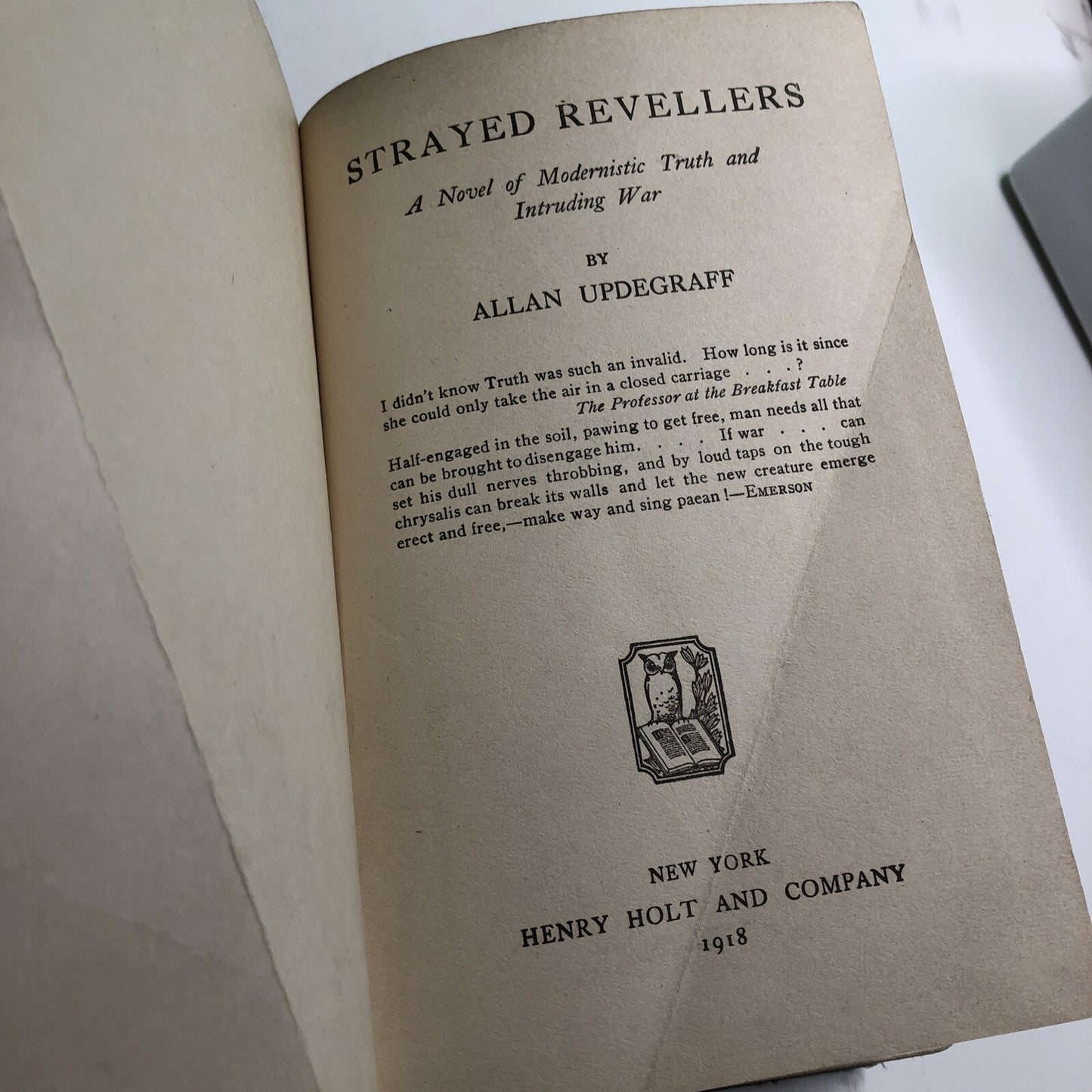 1918 Allan Updegraff Strayed Revellers A Novel of Modernistic Truth and Intrud