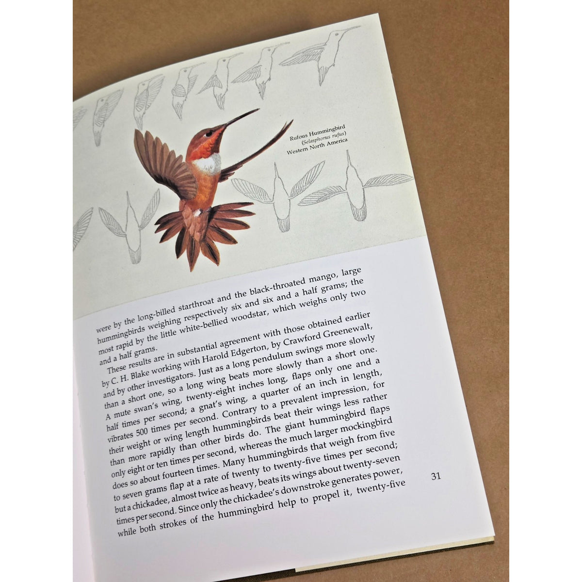 Vintage 1973 "The Life of the Hummingbird" - Alexander Skutch & Arthur Singer