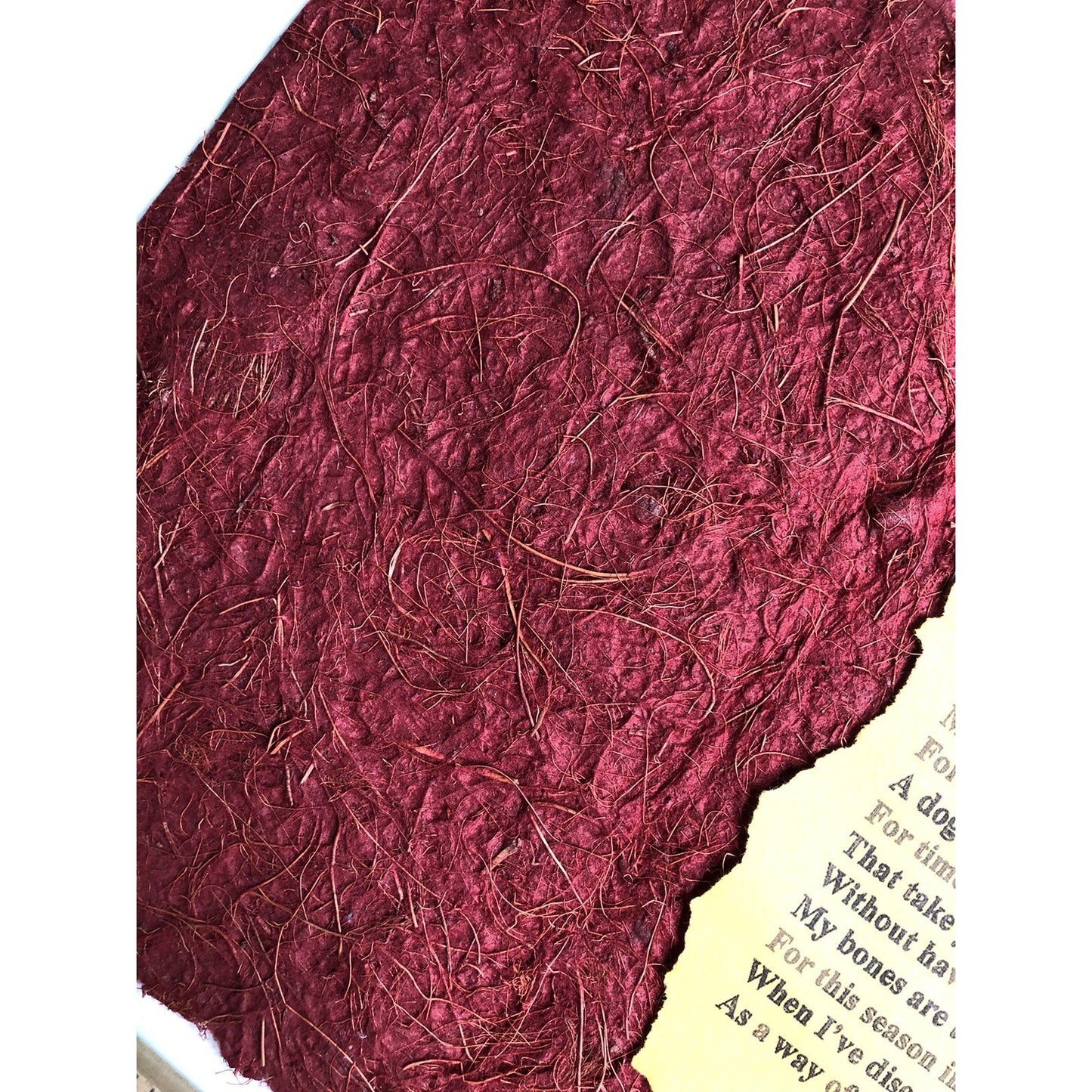 Tut Altman Riddick Poem On Handmade Paper Thankful Bones Mobile Alabama Artist