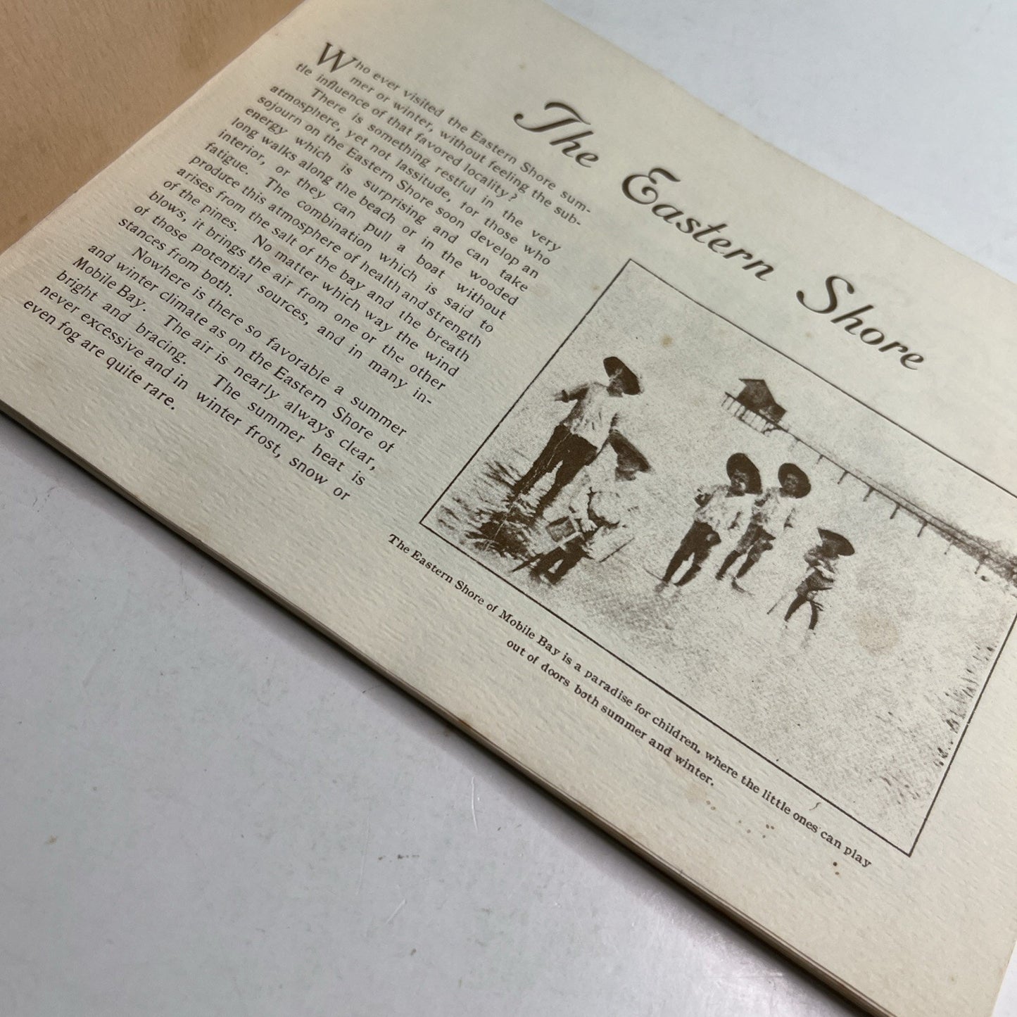 1985 Along The Eastern Shore Mobile Bay, Alabama Local History Illustrated
