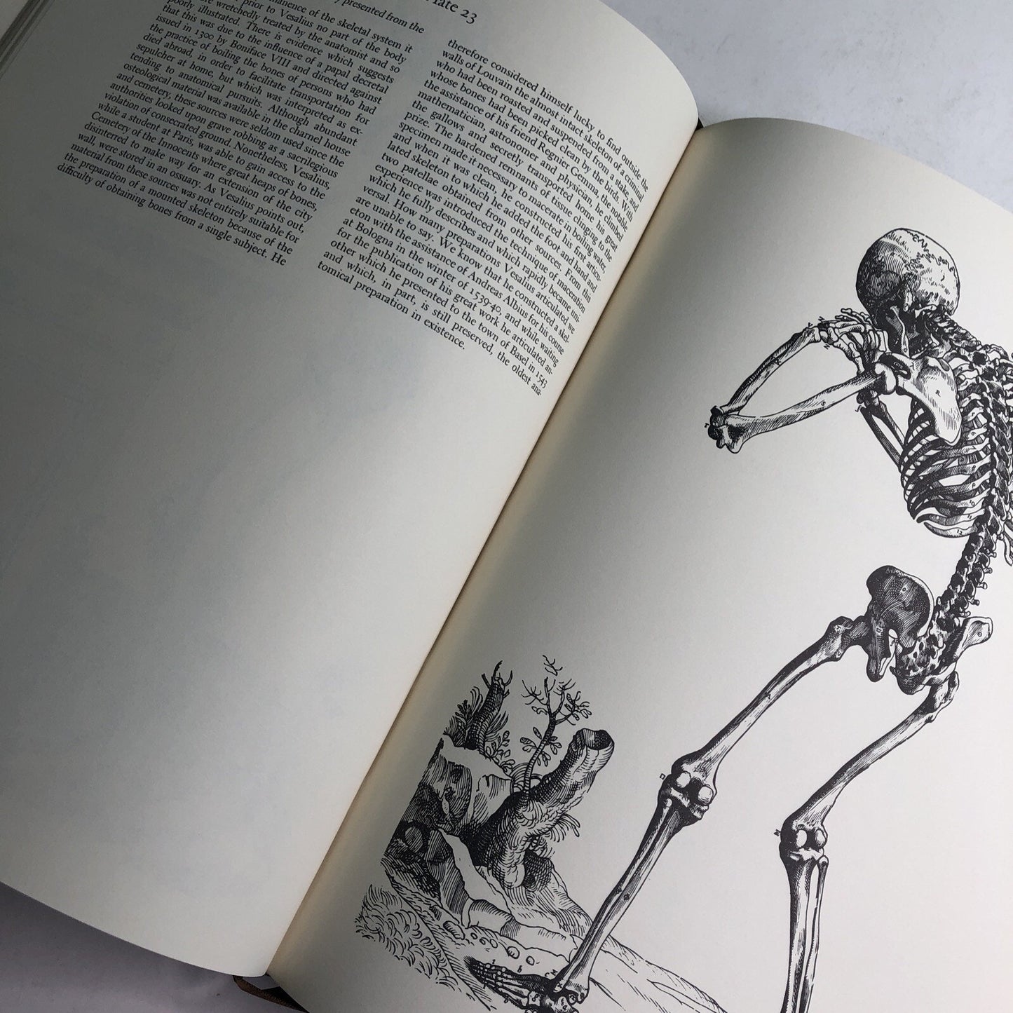 1993 Special Edition Illustrations From ANDREAS VESALIUS Of BRUSSELS Medicine