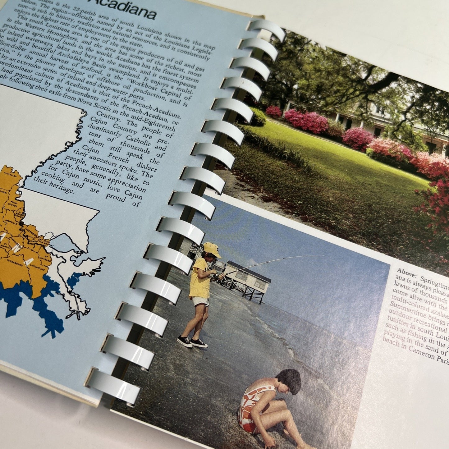 Acadiana Profile’s CAJUN COOKING South Louisiana Ashley Montagu 1980 Spiral