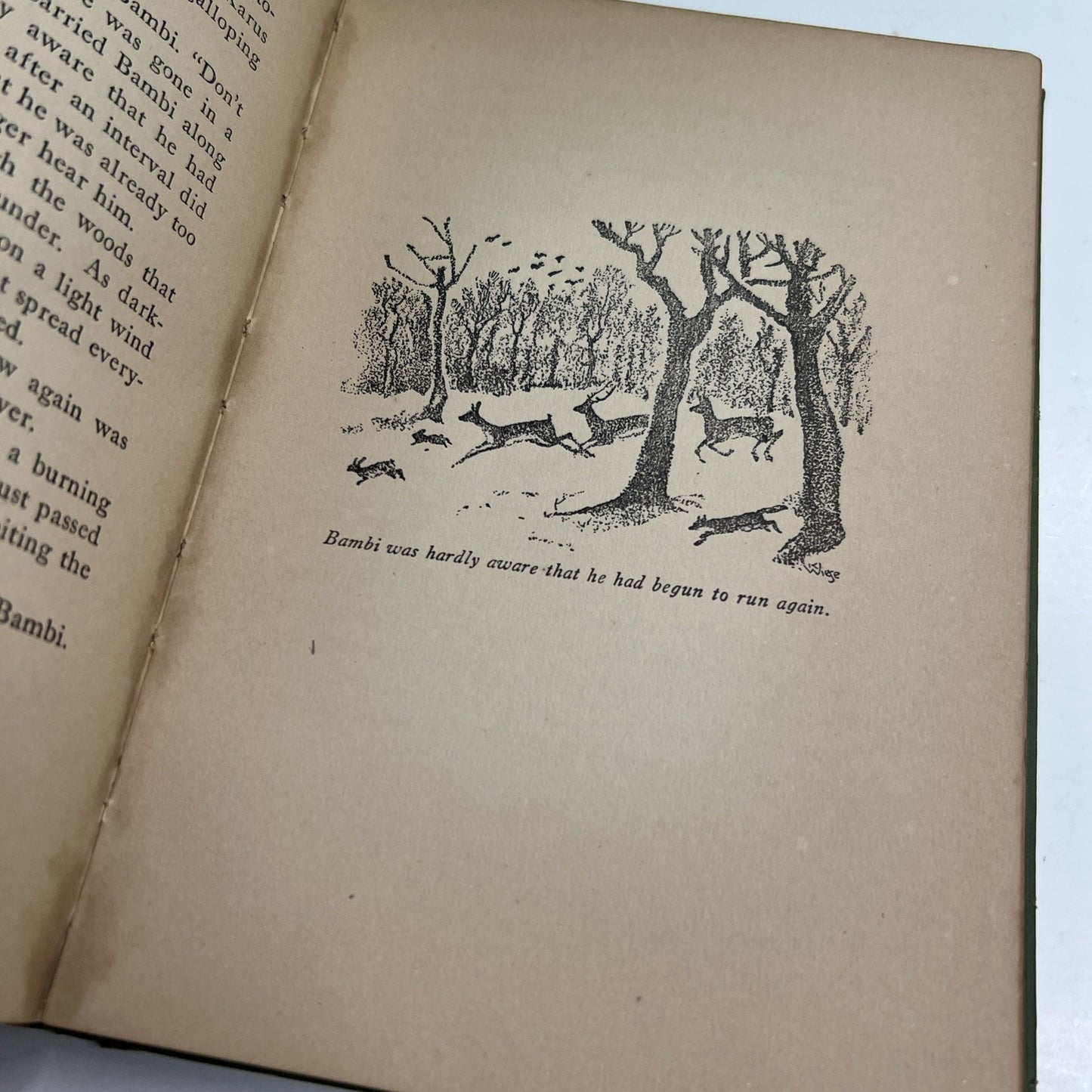 BAMBI A Life in the Woods by Felix Salten First 1st Edition 1929 First Print HC