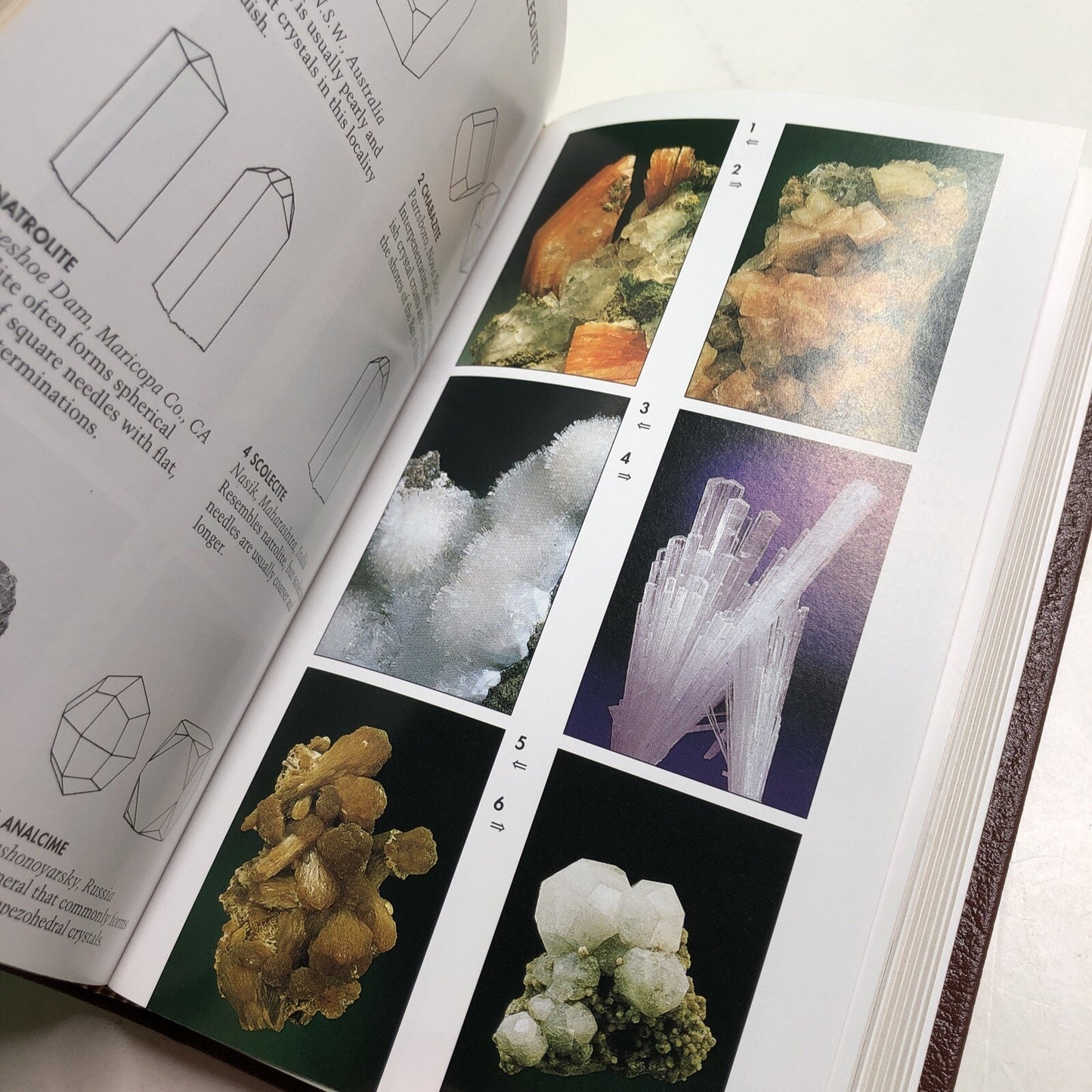Roger Tory Peterson Field Guides: ROCKS & MINERALS HC Leather Bound Bookplate