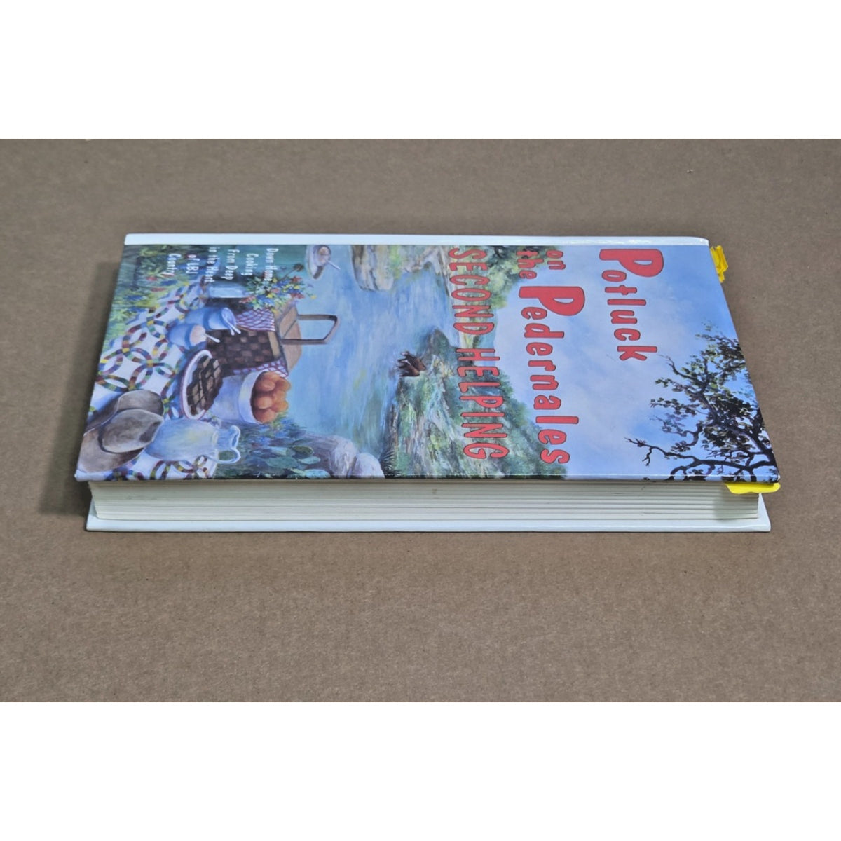 Vintage 1993 Potluck on the Pedernales Second Helping Cookbook Texas 1st Edition