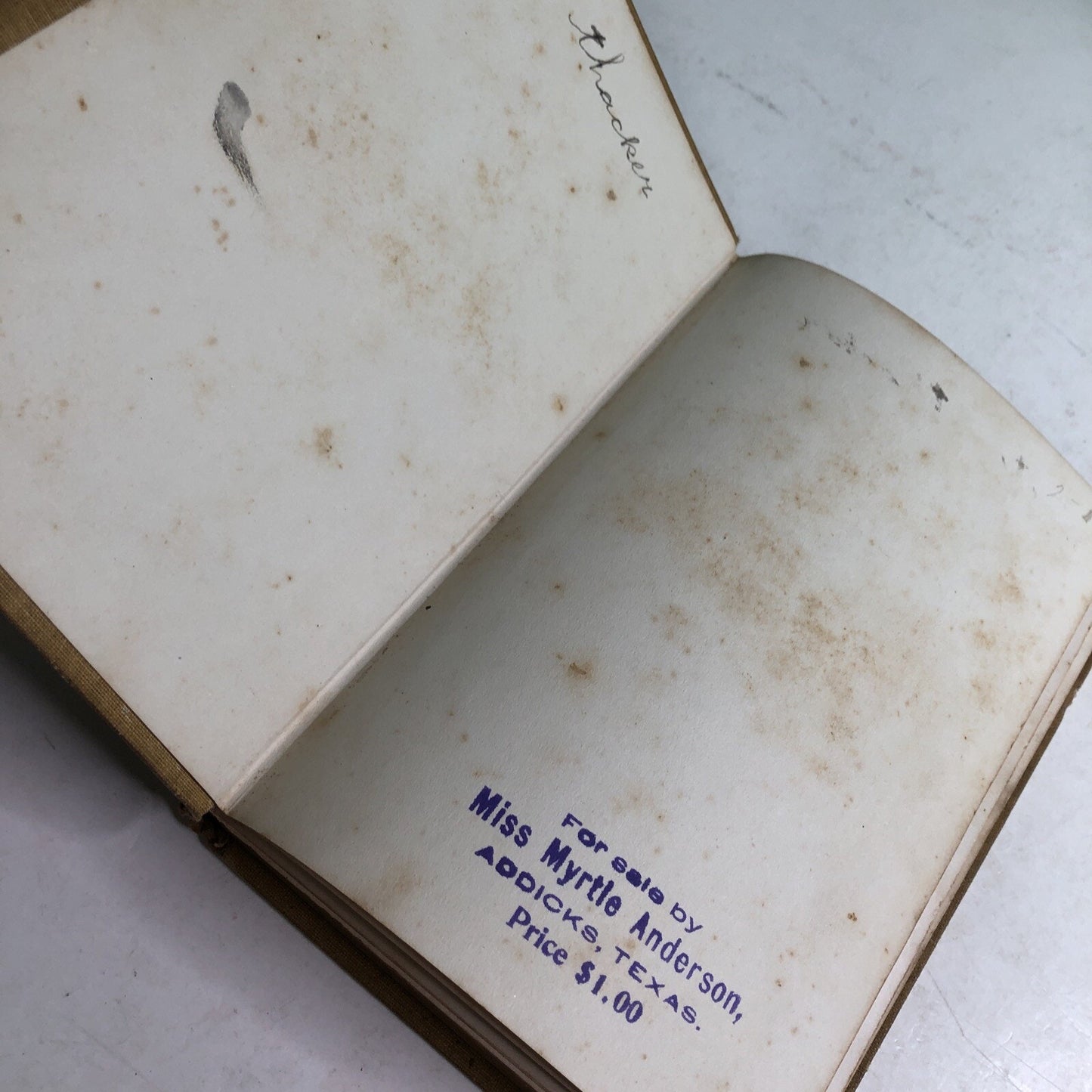 From The Plains To The Pulpit By John Wesley Anderson 1907 Hardcover