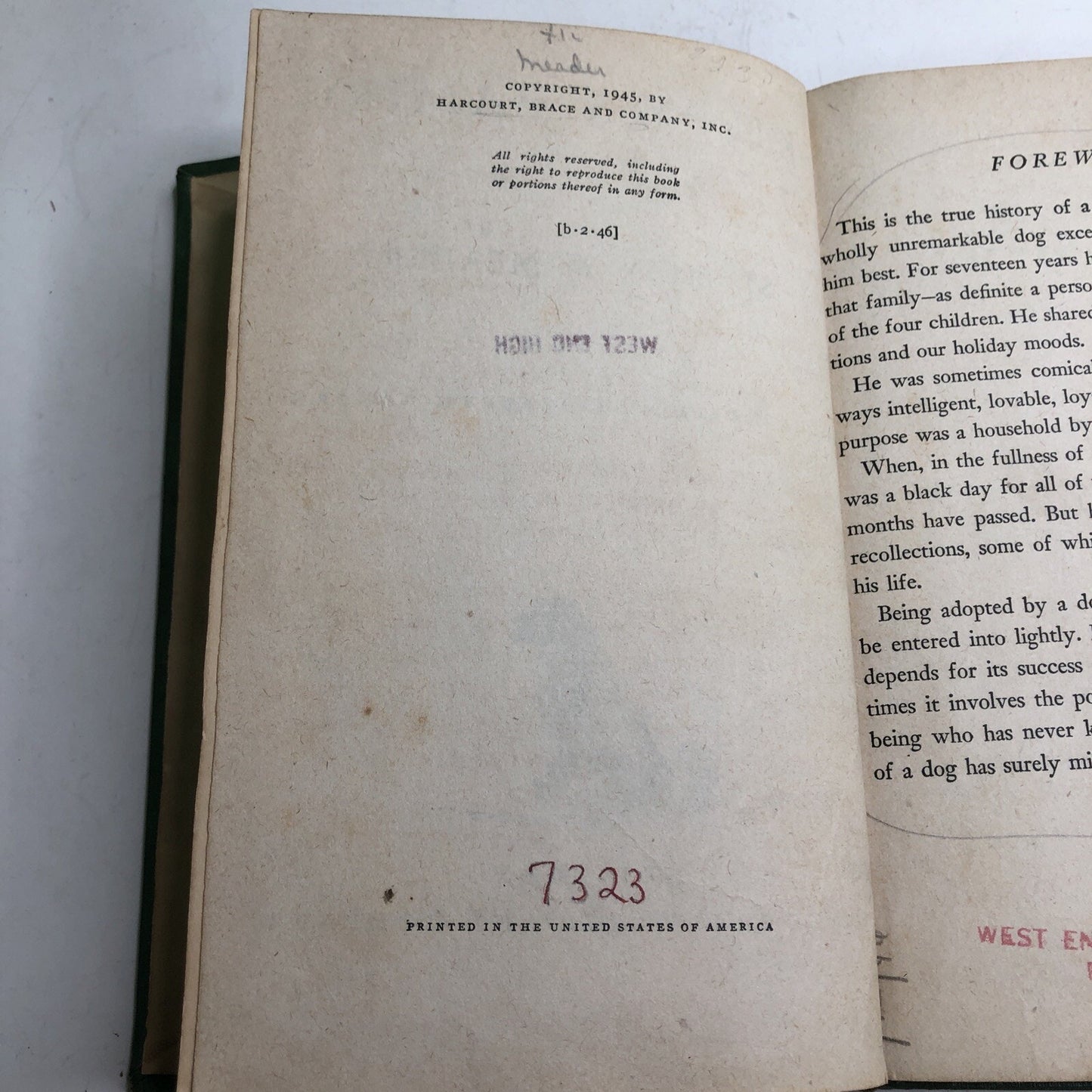 Skippy’s Family *SIGNED* HC by Stephen W. Meader 1945 Illustrated Ex Library