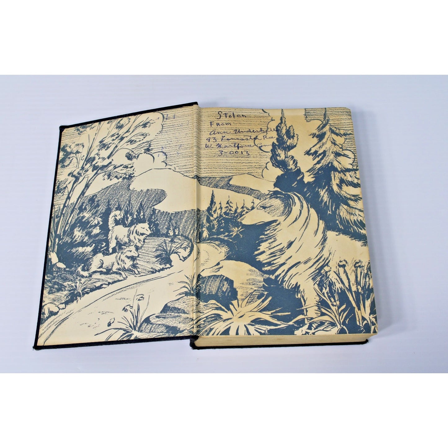 Treve- Albert Payson Terhune, 1924 1st edition HC, Tale of a Collie