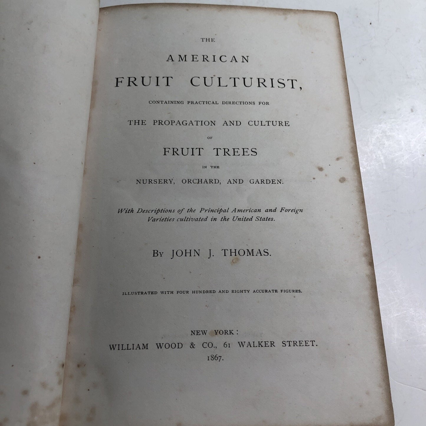 1867 The American Fruit Futurist by John J. Thomas HC Illustrated Propagation