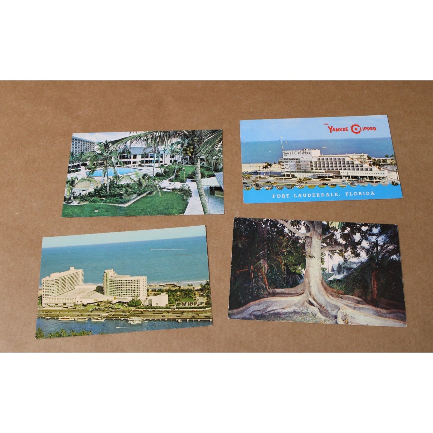 4 Vintage Mid-Century Florida Travel Postcards, Fort Lauderdale, Miami- Lot 5